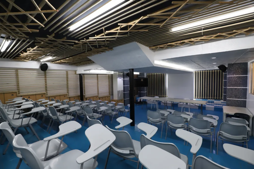 Mini Theatre (DVD ROOM)